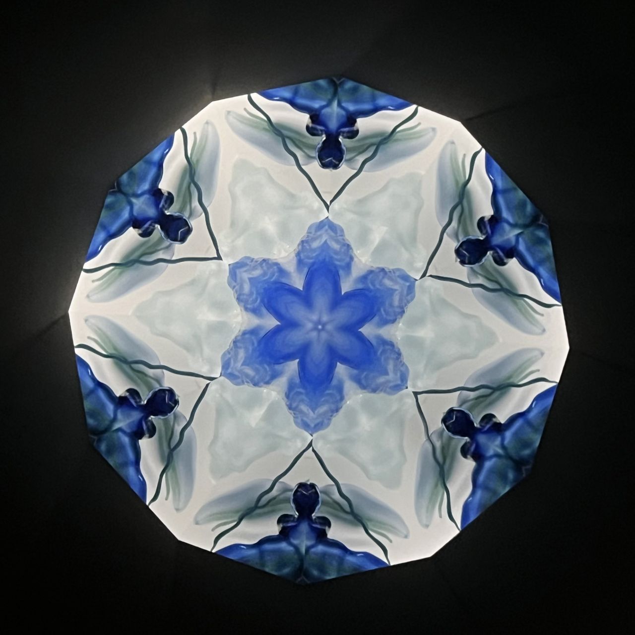 Chitoshi Takabayashi "Deep Ocean"