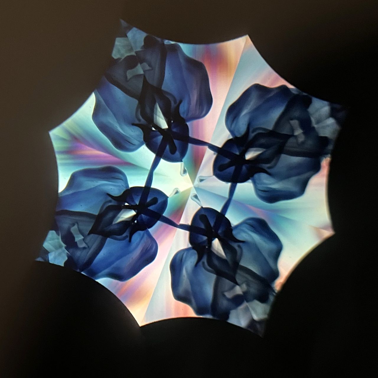 Chitoshi Takabayashi ”Phenomenal/Blue 2mirror”