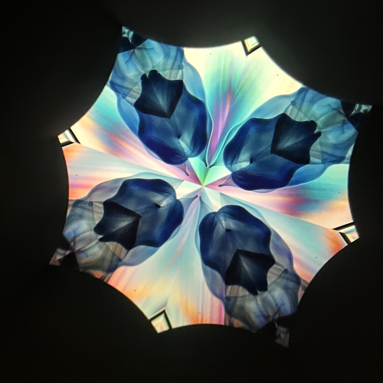 Chitoshi Takabayashi ”Phenomenal/Blue 2mirror”