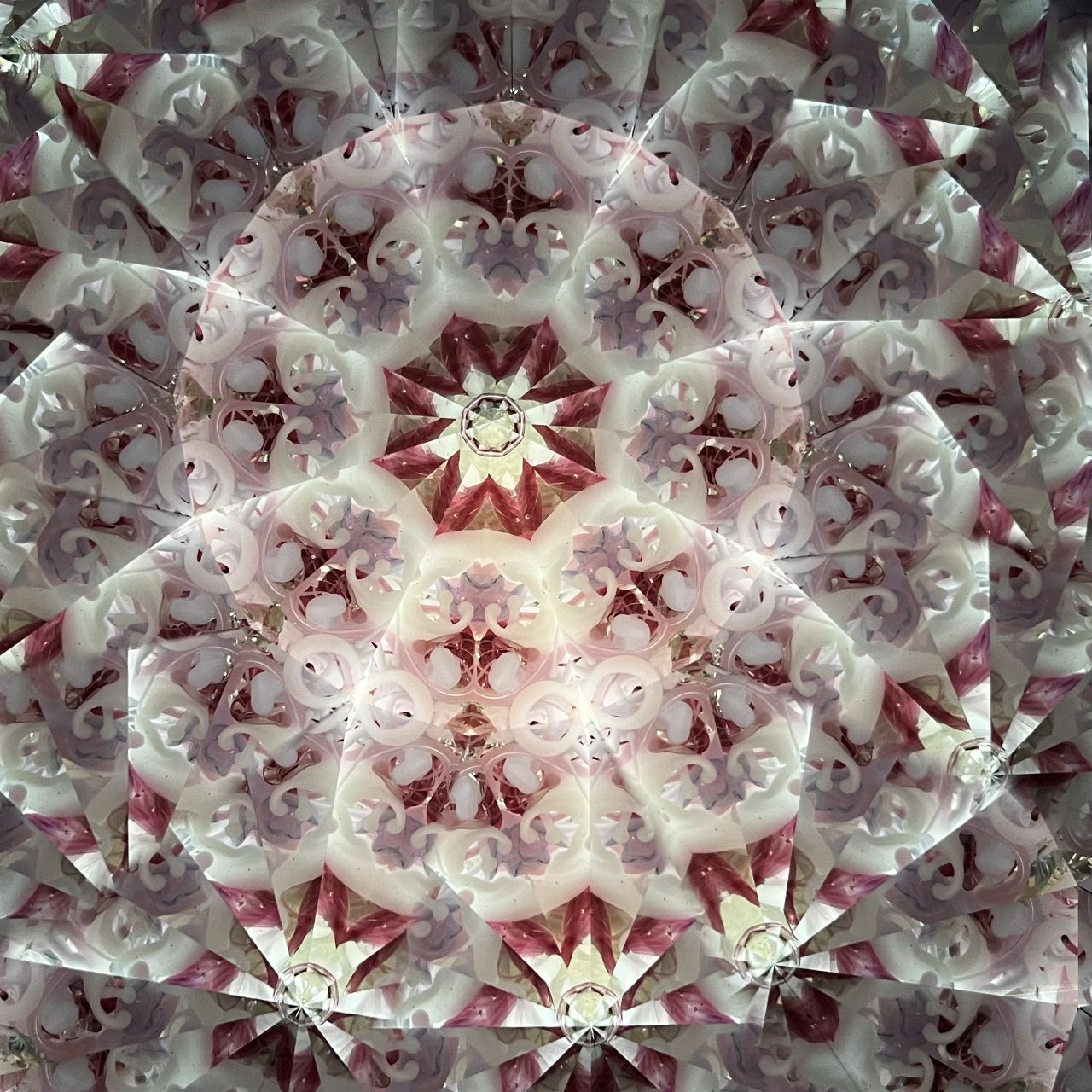 Ayana Endo "Innocent Flowers -The Beckoning Canopy-" -glass kaleidoscope-