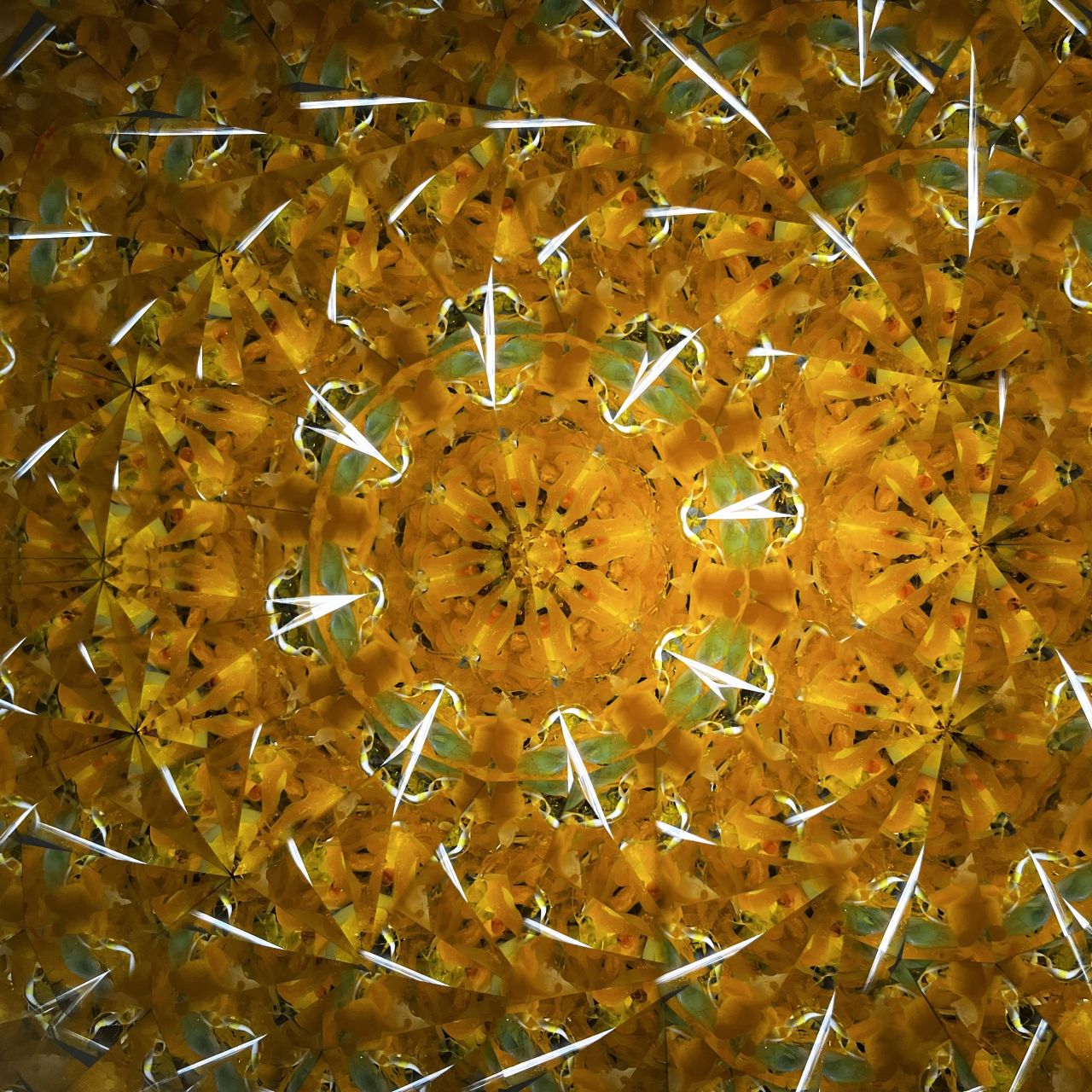 Ayana Endo "Innocent Flowers -Tender Little Dancers-" -glass kaleidoscope-