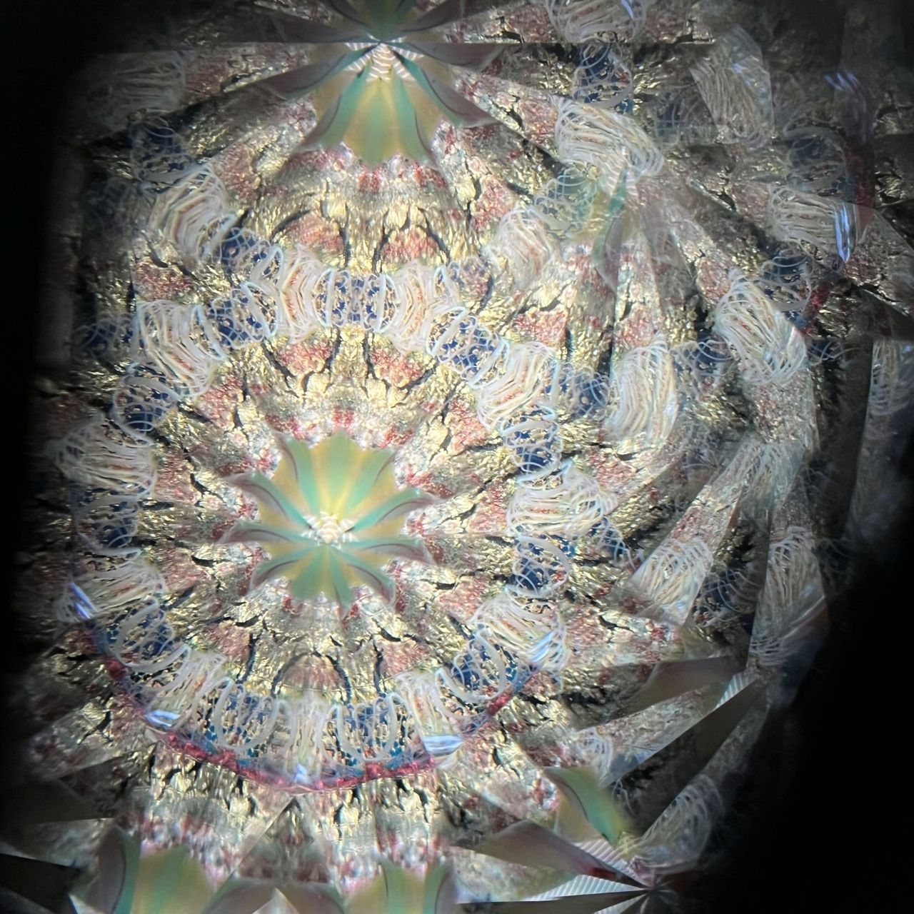 Hanako Richards "The Moon and Fin" glass kaleidoscope