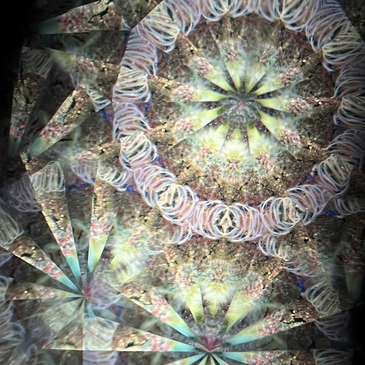 Hanako Richards "The Moon and Fin" glass kaleidoscope