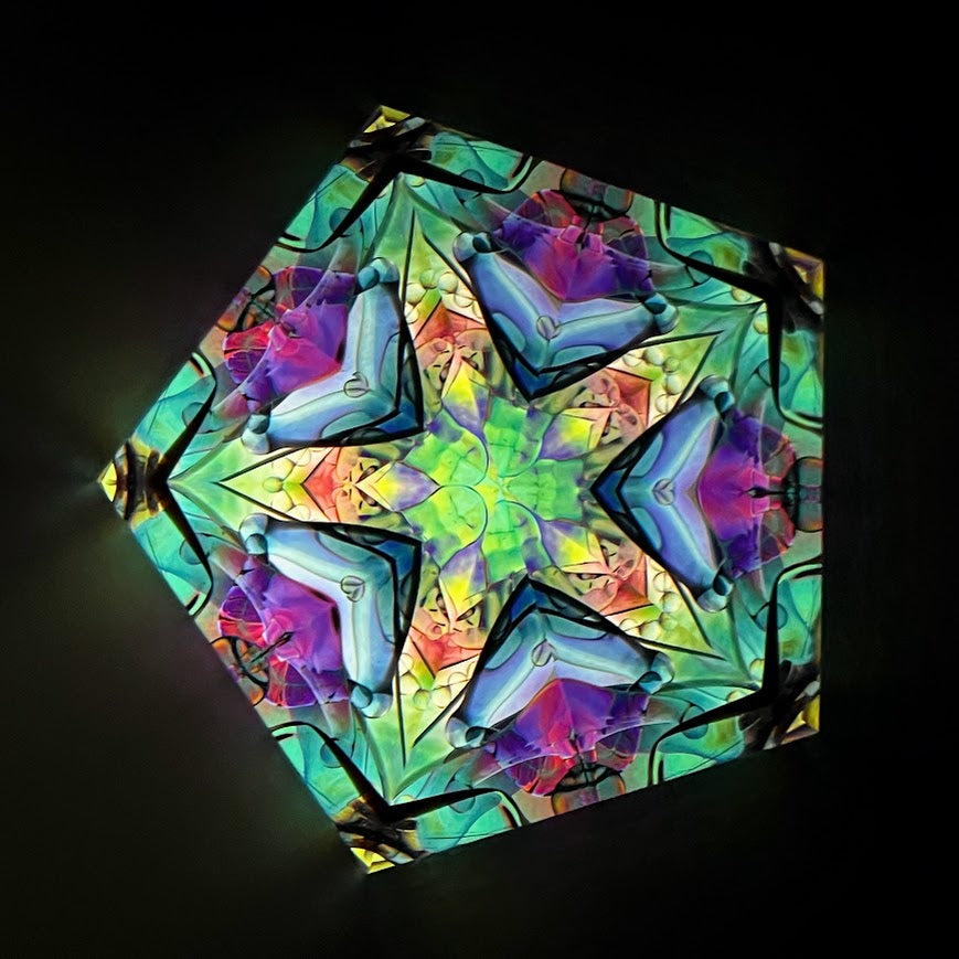 Tomoo Hosono and Motohiro Sato Polarized kaleidoscope #157