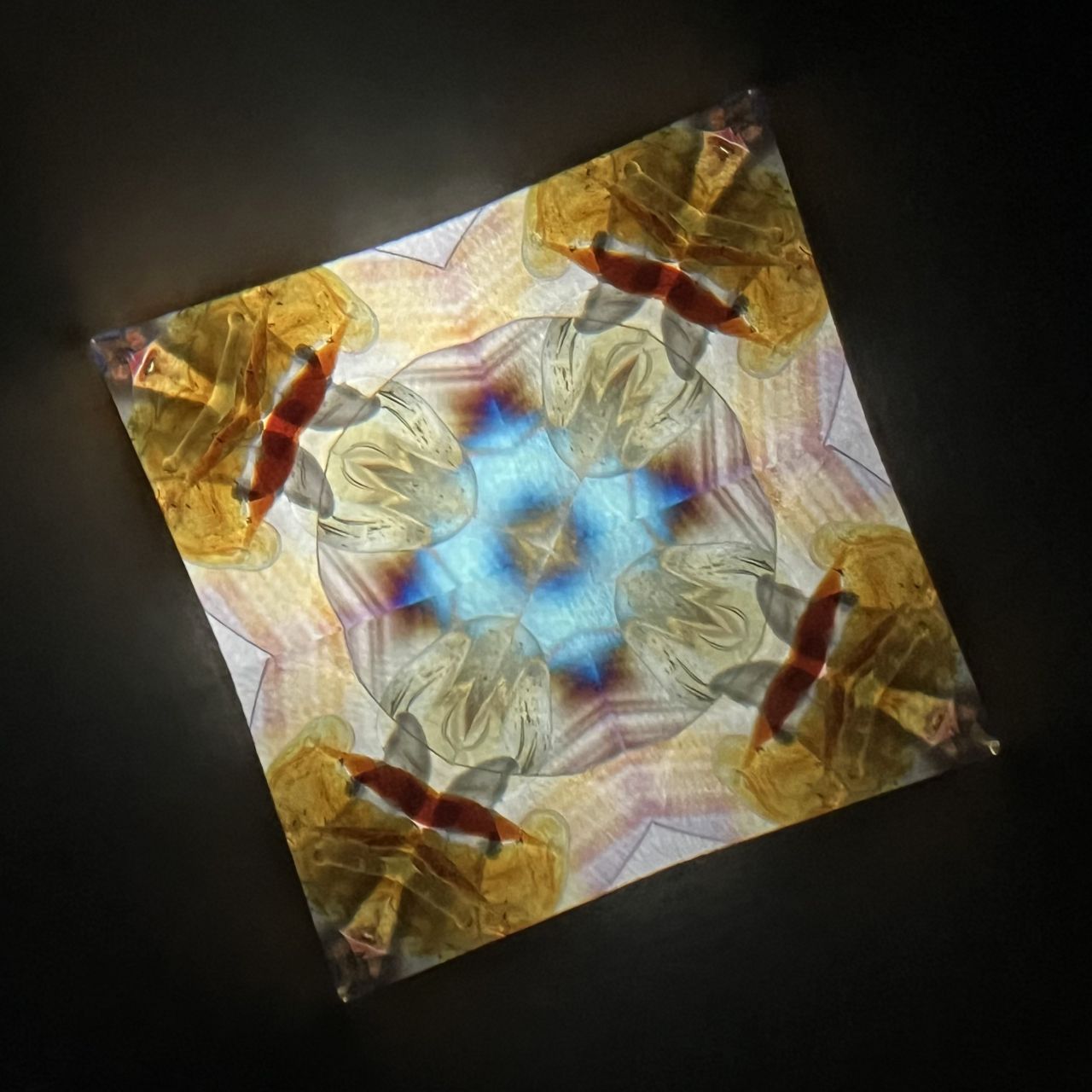 Tomoo Hosono and Chitoshi Takabayashi Polarized kaleidoscope #057