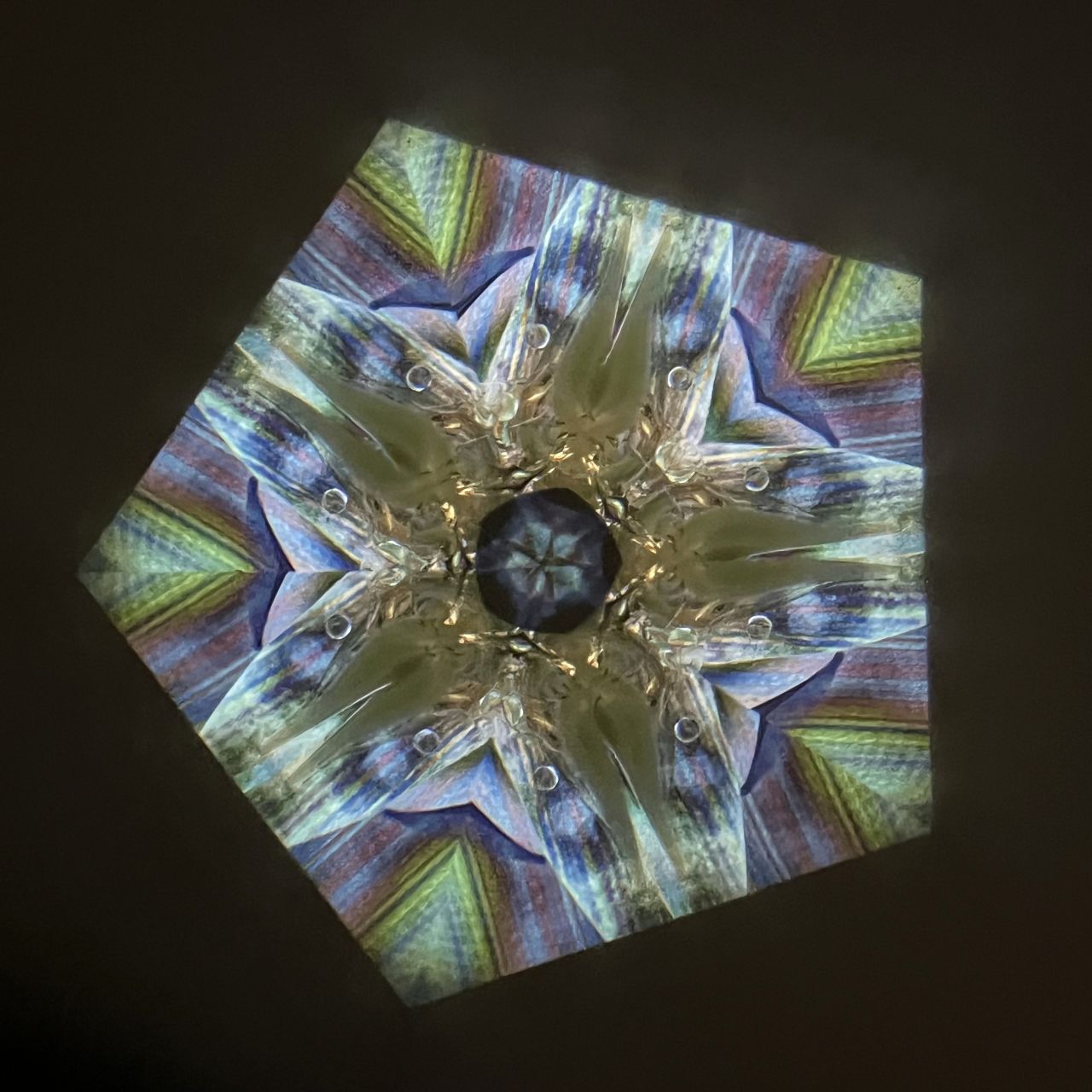 Tomoo Hosono and Chitoshi Takabayashi Polarized kaleidoscope #058