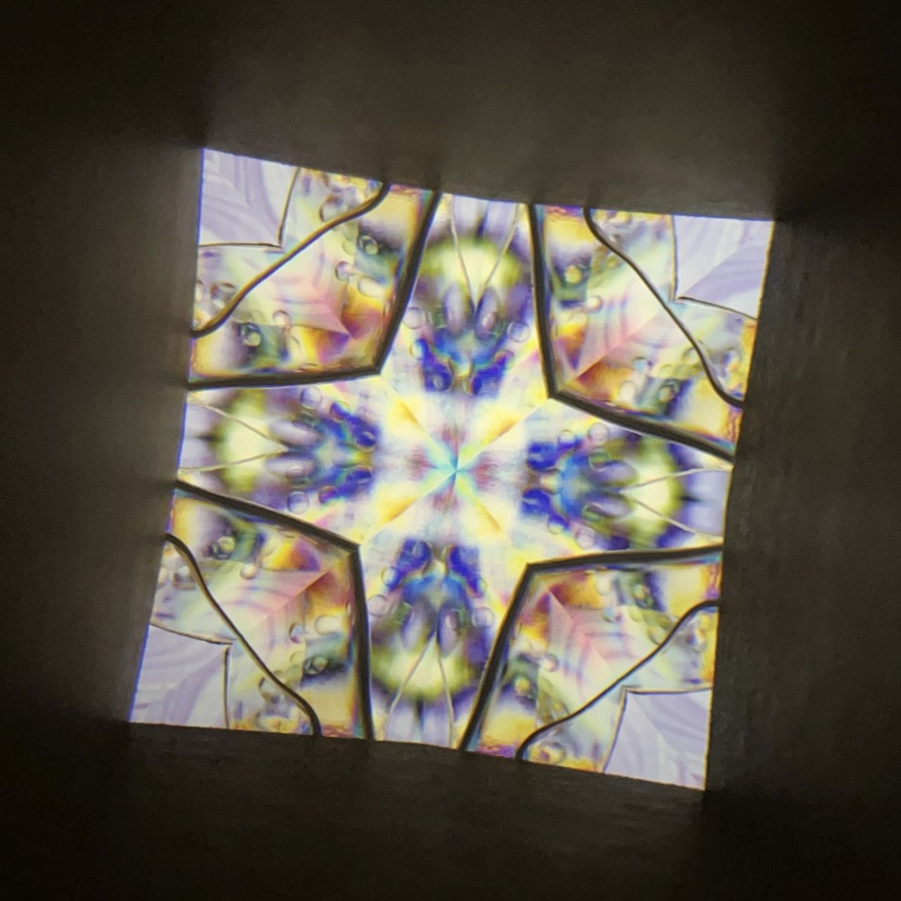 Tomoo Hosono Polarized kaleidoscope "USUGINU" #012