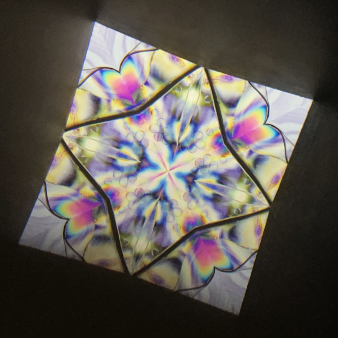 Tomoo Hosono Polarized kaleidoscope "USUGINU" #012