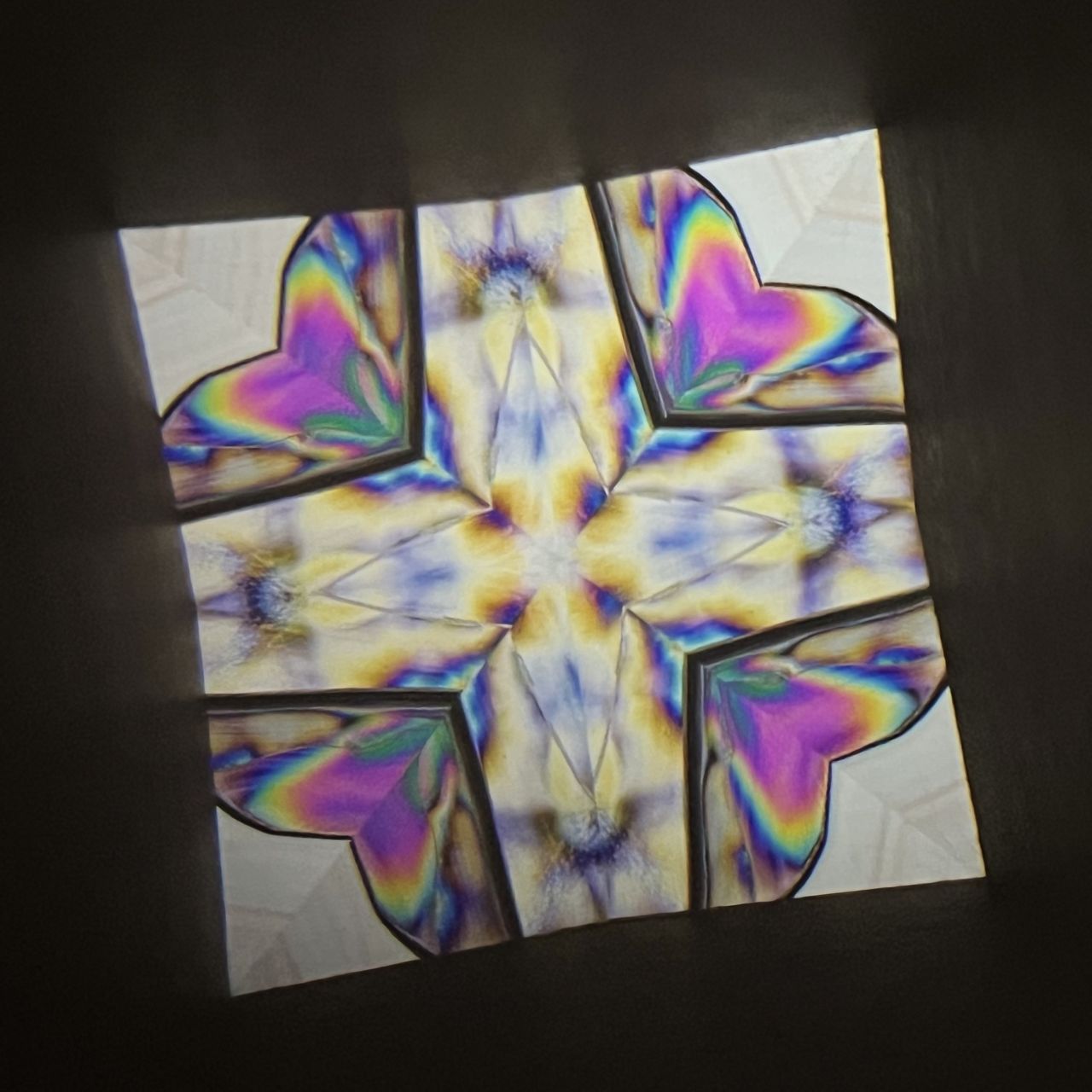 Tomoo Hosono Polarized kaleidoscope "USUGINU" #012
