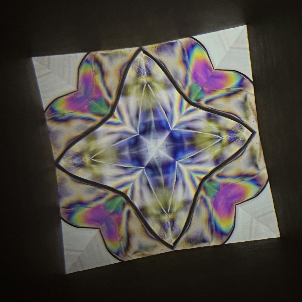 Tomoo Hosono Polarized kaleidoscope "USUGINU" #012