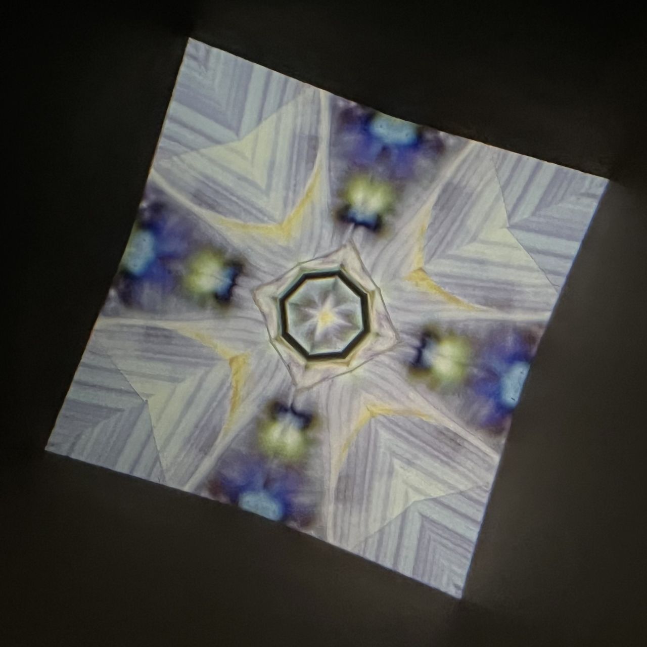 Tomoo Hosono Polarized kaleidoscope "USUGINU" #012