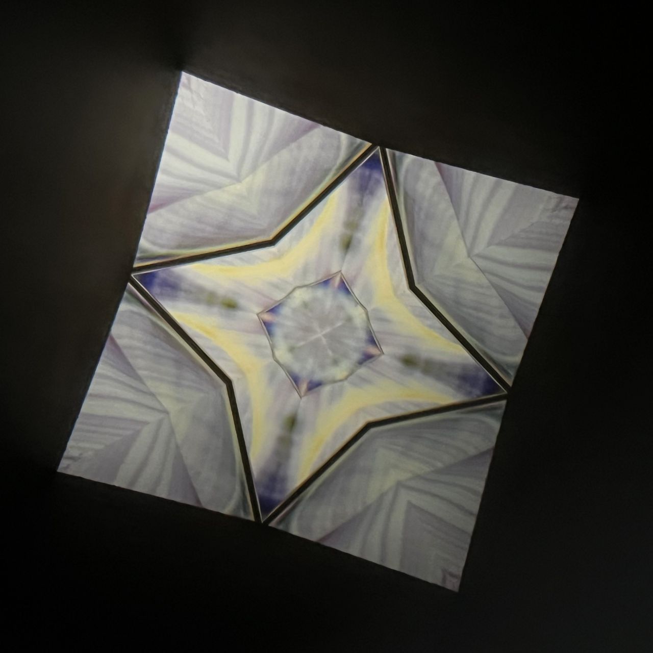 Tomoo Hosono Polarized kaleidoscope "USUGINU" #012
