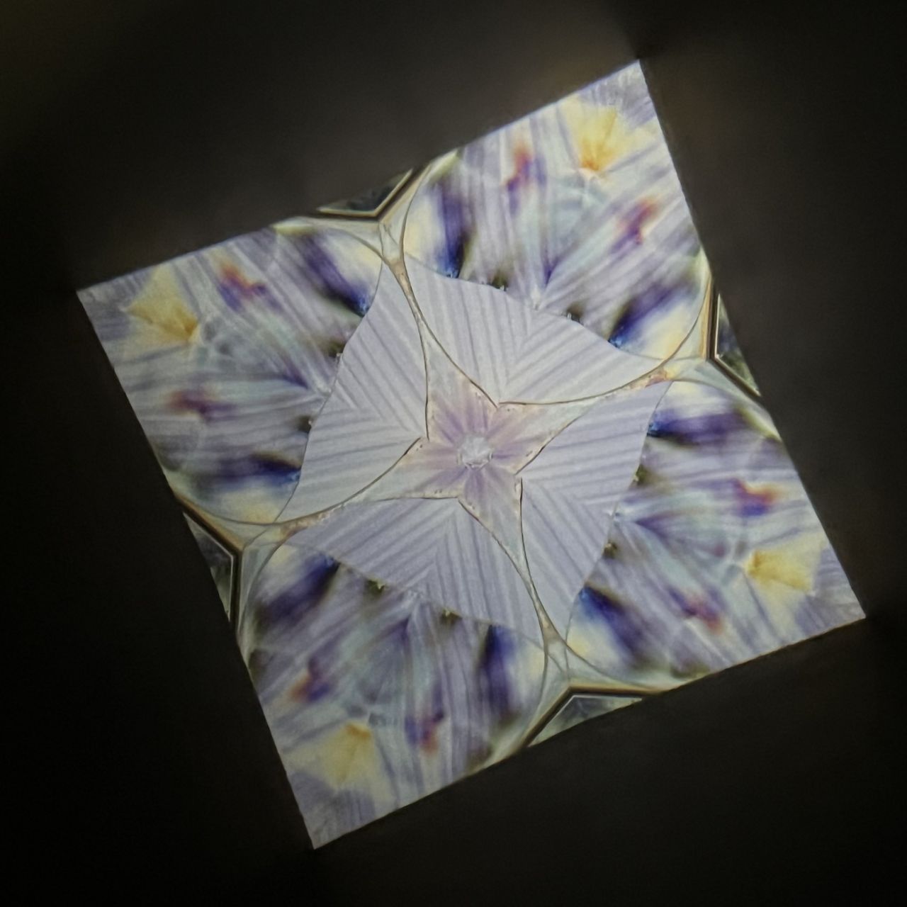 Tomoo Hosono Polarized kaleidoscope "USUGINU" #012