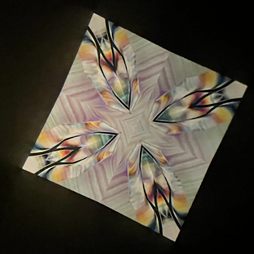 Tomoo Hosono Polarized kaleidoscope "USUGINU" #011 (2026)