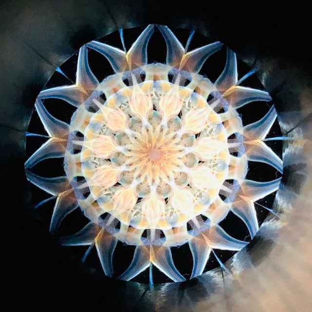 Yoshiko & Takeo Matsumoto "Dimple" amber - glass kaleidoscope -