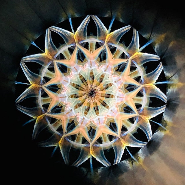 Yoshiko & Takeo Matsumoto "Dimple" amber - glass kaleidoscope -