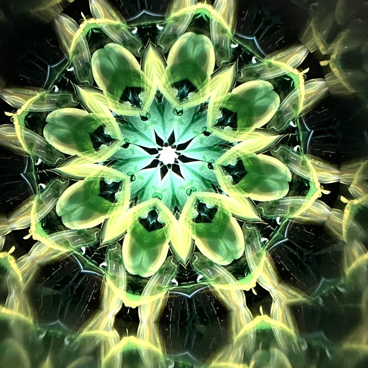 Yoshiko and Takeo Matsumoto "HANA NATURE - water lily- " - glass kaleidoscope -