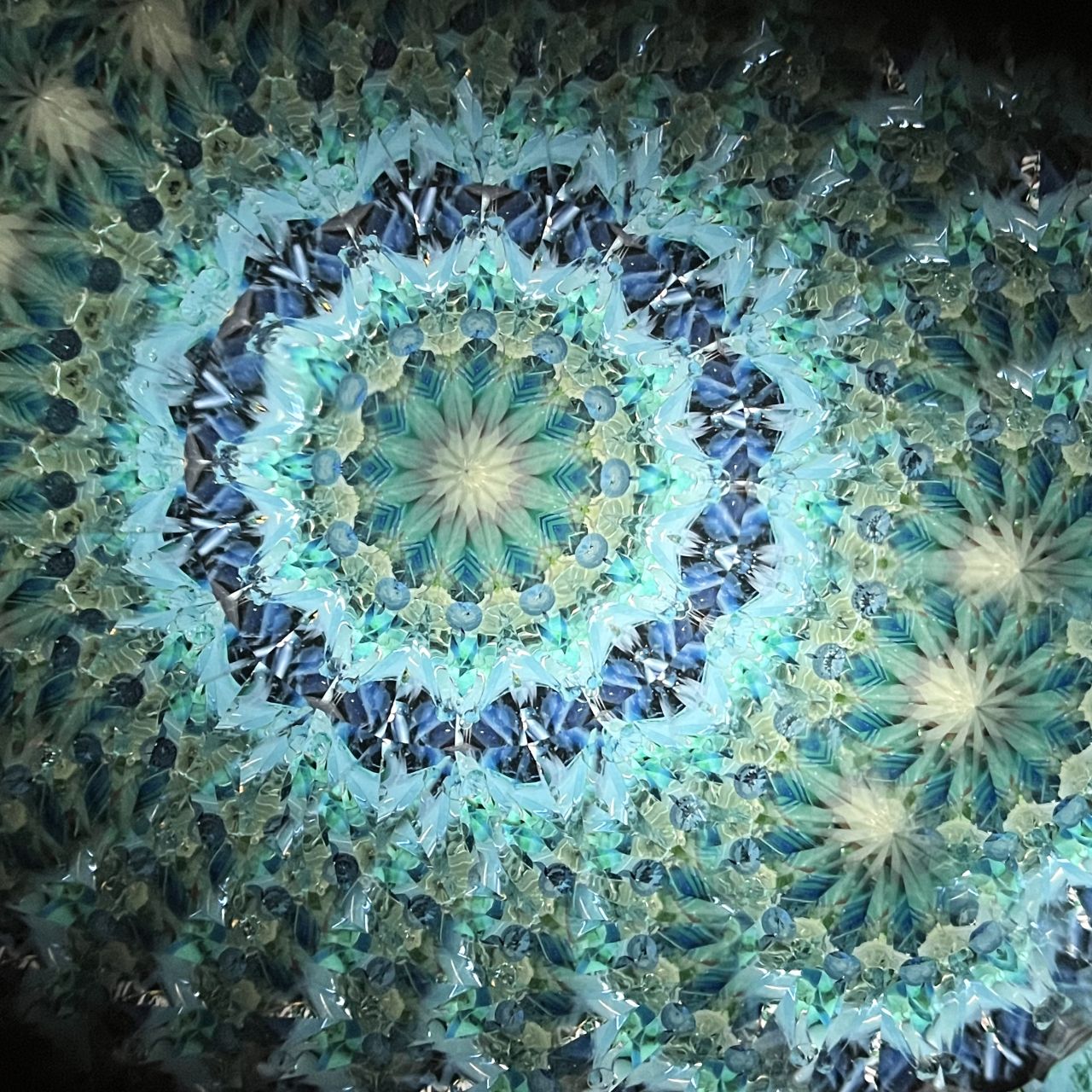 Keiko and Yoshiaki Onodera ”Silk Road of the Sea ”