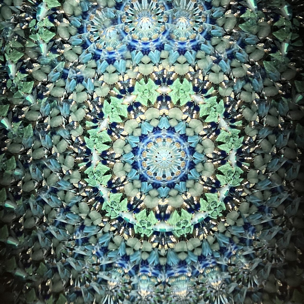 Keiko and Yoshiaki Onodera ”Silk Road of the Sea ”