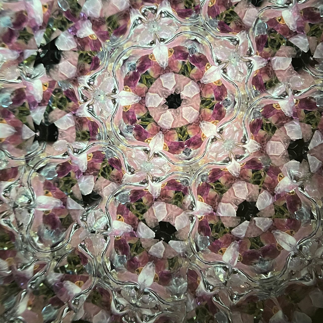 Ayaka Kobayashi   "Twilight"   - cherry blossoms -
