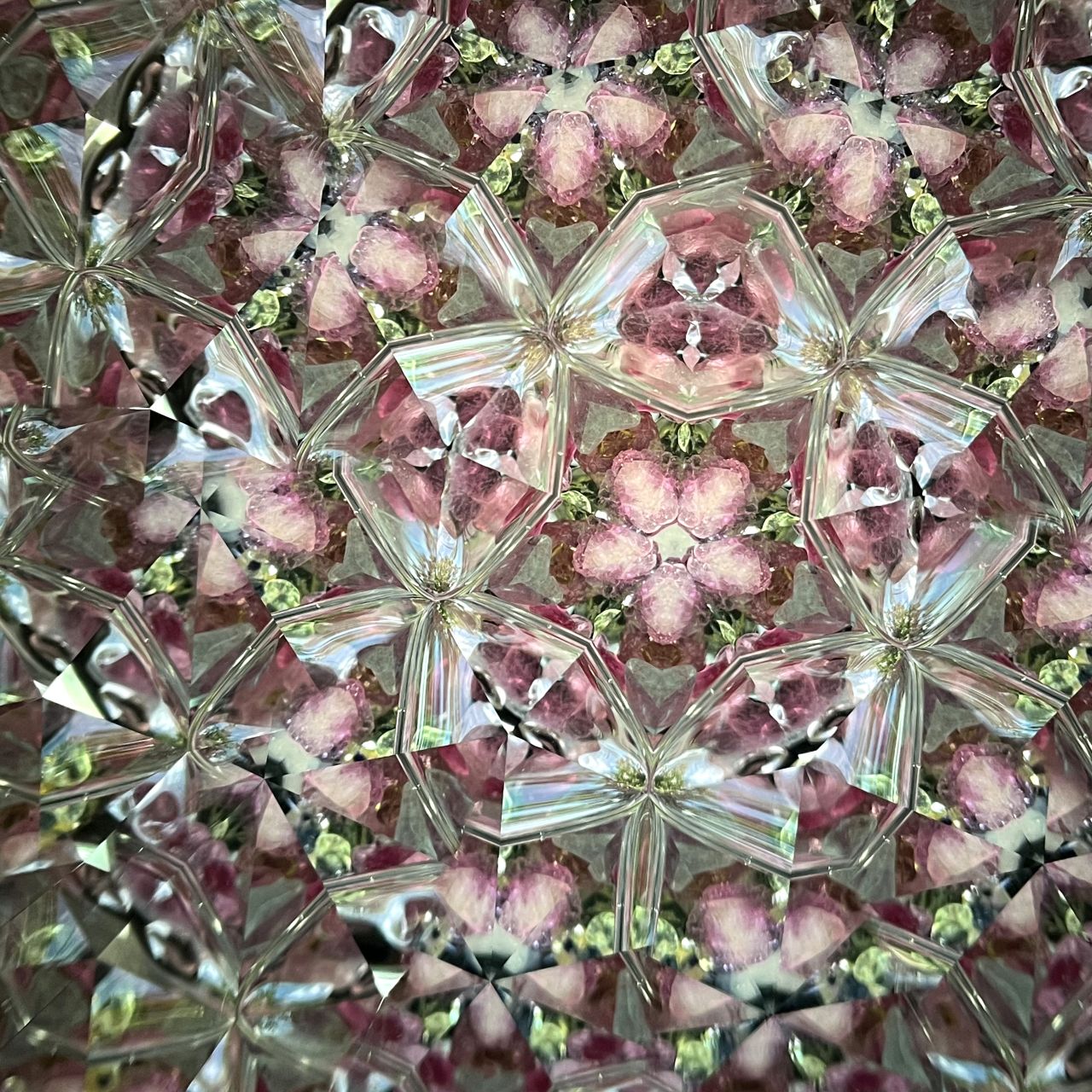 Ayaka Kobayashi   "Twilight"   - cherry blossoms -