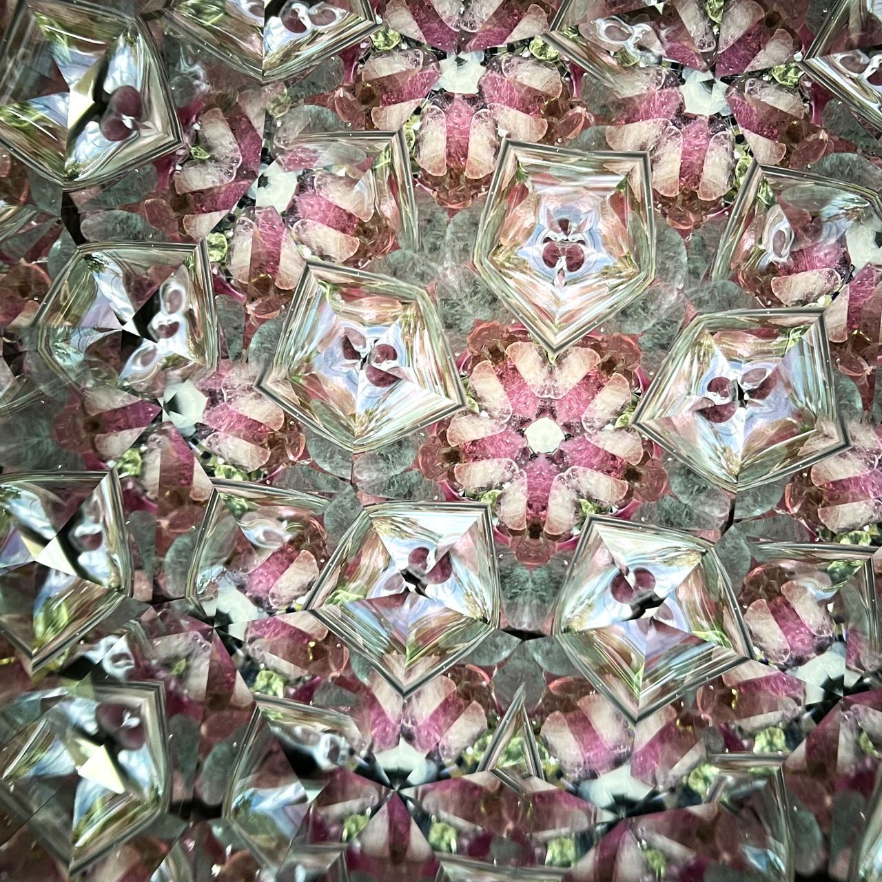Ayaka Kobayashi   "Twilight"   - cherry blossoms -