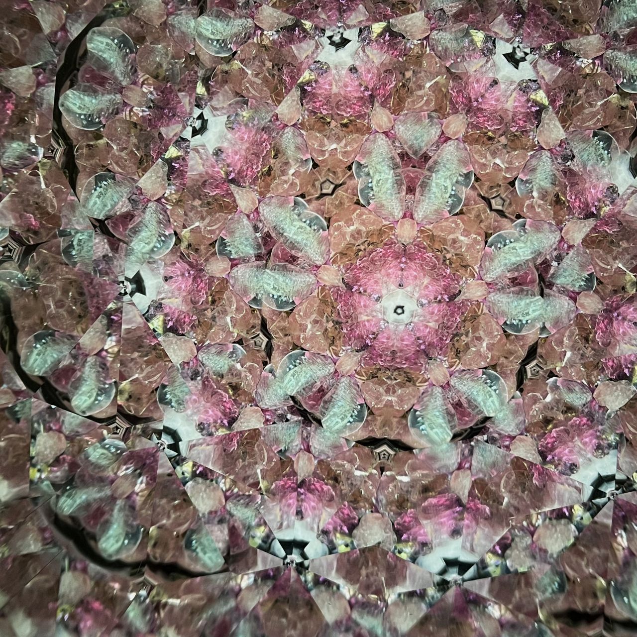 Ayaka Kobayashi   "Twilight"   - cherry blossoms -