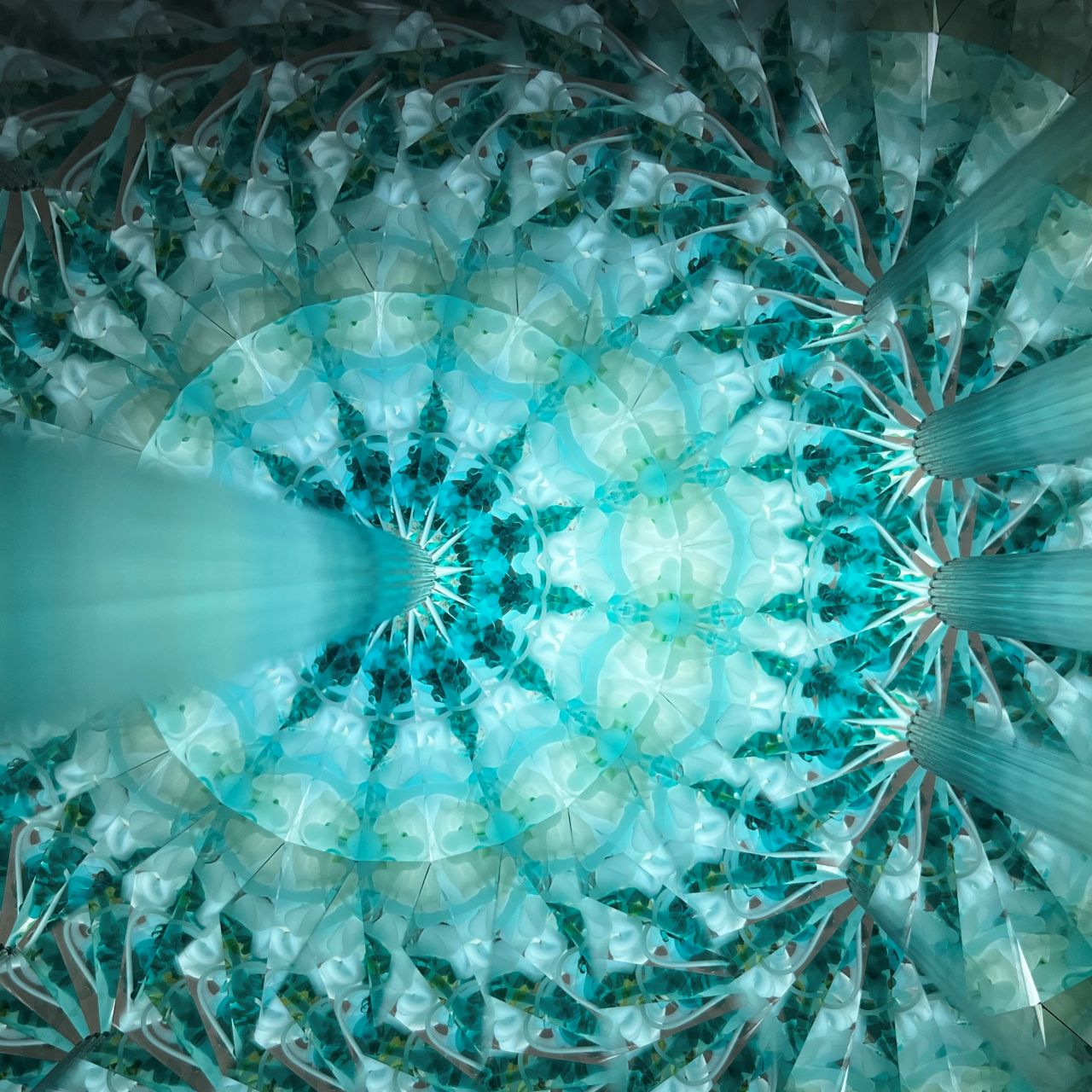 Ayana Endo  "Innocent Flowers  - One Afternoon  -"            -glass kaleidoscope-