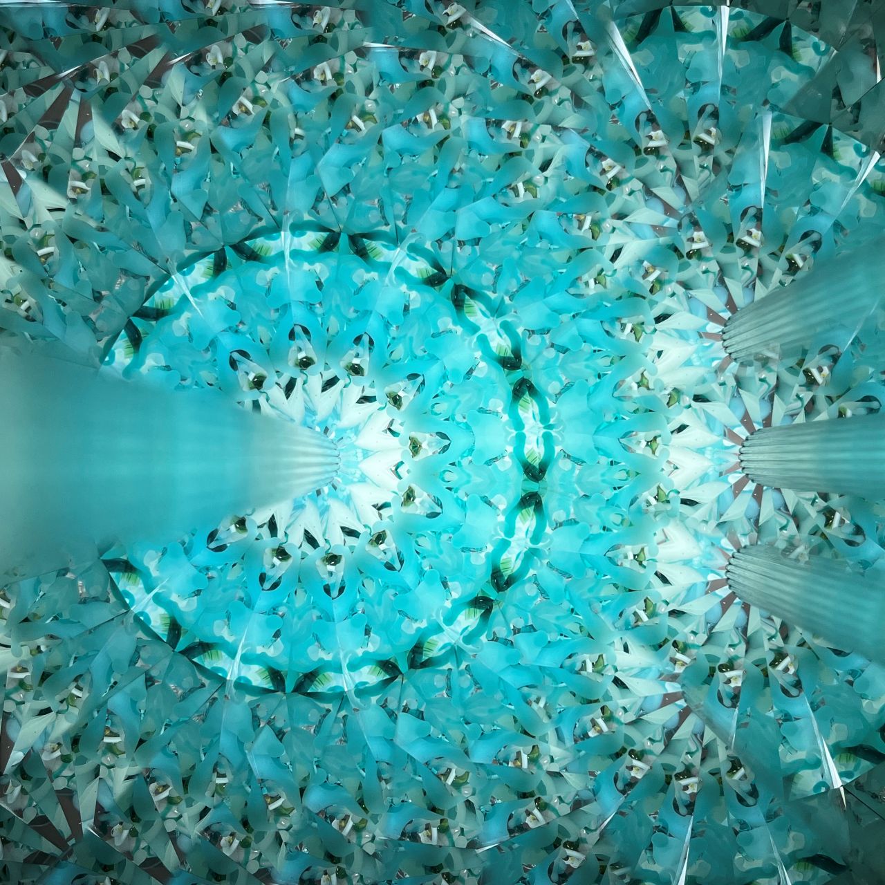 Ayana Endo  "Innocent Flowers  - One Afternoon  -"            -glass kaleidoscope-