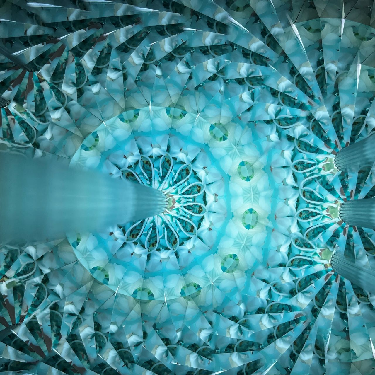 Ayana Endo  "Innocent Flowers  - One Afternoon  -"            -glass kaleidoscope-