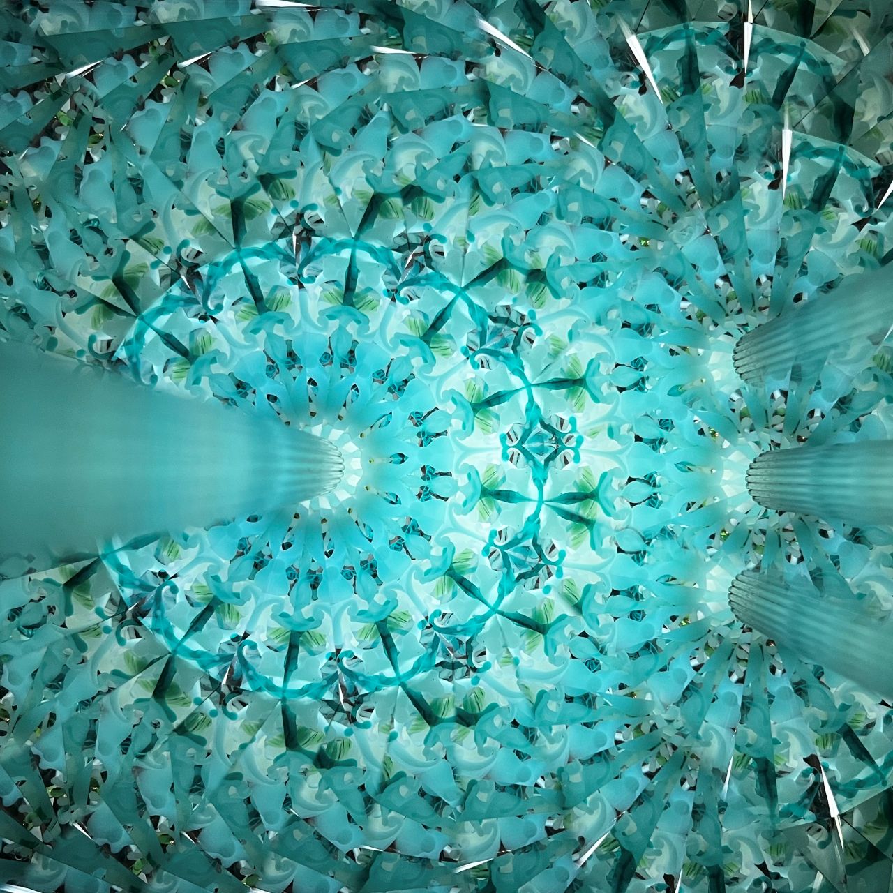 Ayana Endo  "Innocent Flowers  - One Afternoon  -"            -glass kaleidoscope-