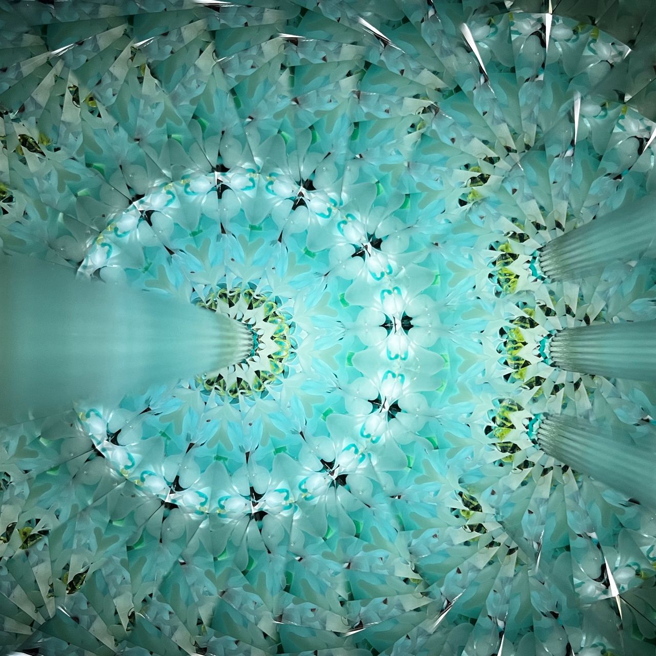 Ayana Endo  "Innocent Flowers  - One Afternoon  -"            -glass kaleidoscope-