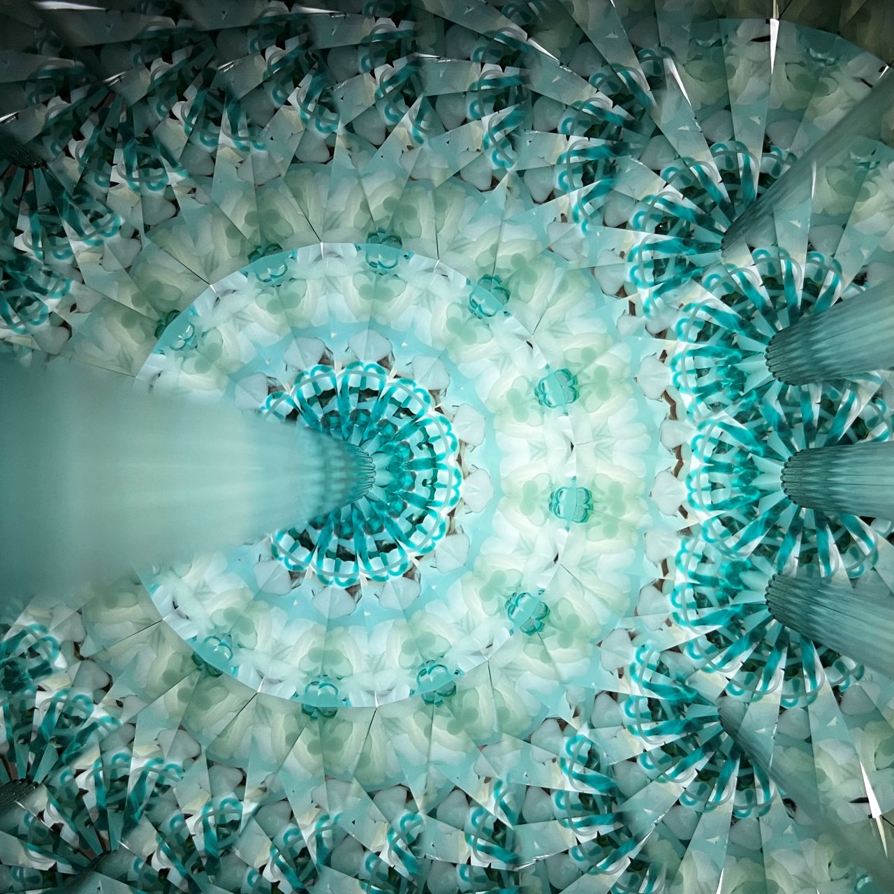 Ayana Endo  "Innocent Flowers  - One Afternoon  -"            -glass kaleidoscope-