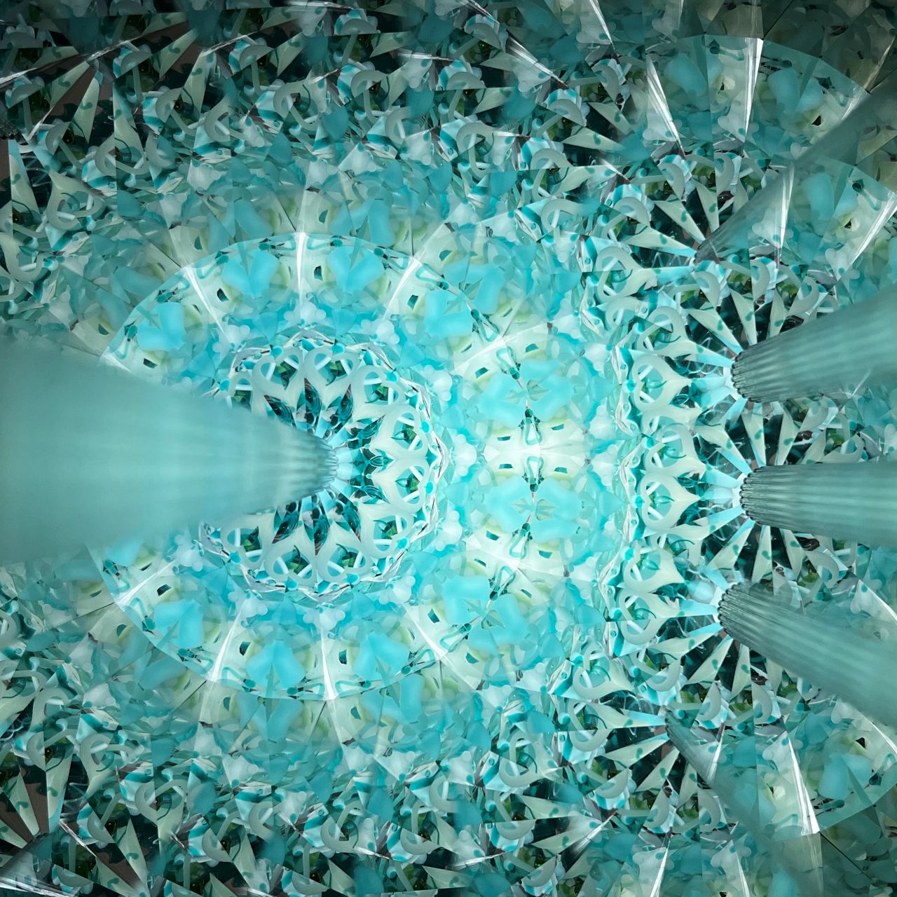 Ayana Endo  "Innocent Flowers  - One Afternoon  -"            -glass kaleidoscope-