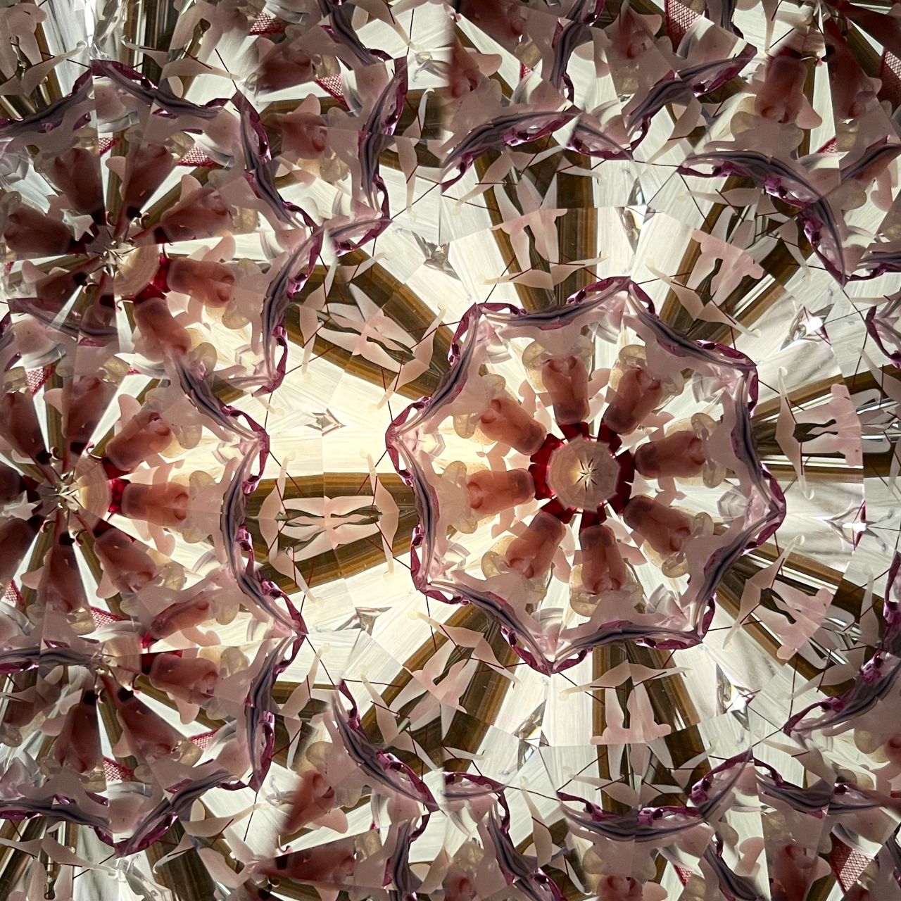 Ayana Endo  "Innocent Flowers  -The Beckoning Canopy-"            -glass kaleidoscope-