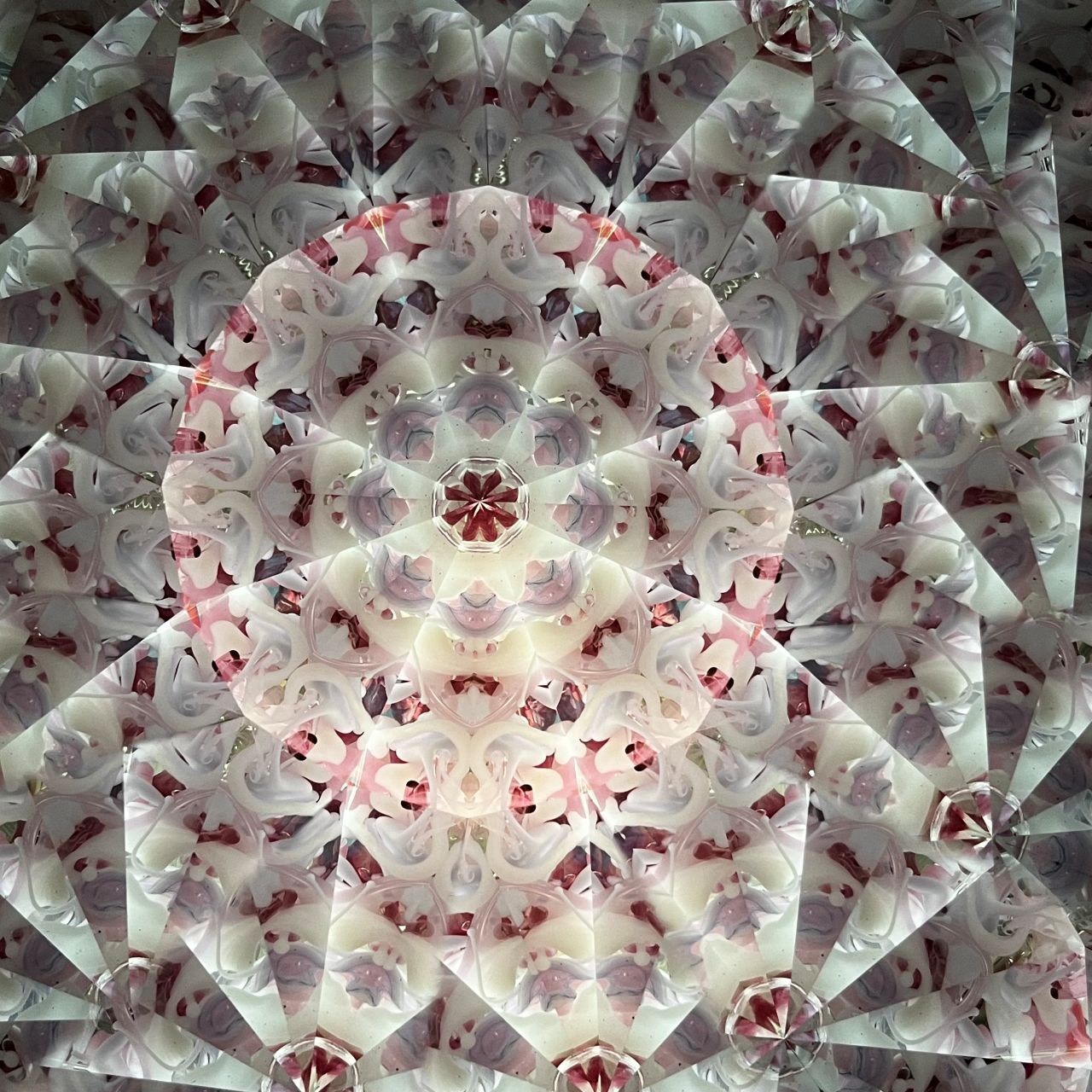 Ayana Endo  "Innocent Flowers  -The Beckoning Canopy-"            -glass kaleidoscope-