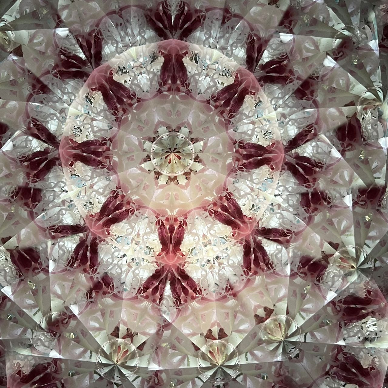 Ayana Endo  "Innocent Flowers  -The Beckoning Canopy-"            -glass kaleidoscope-