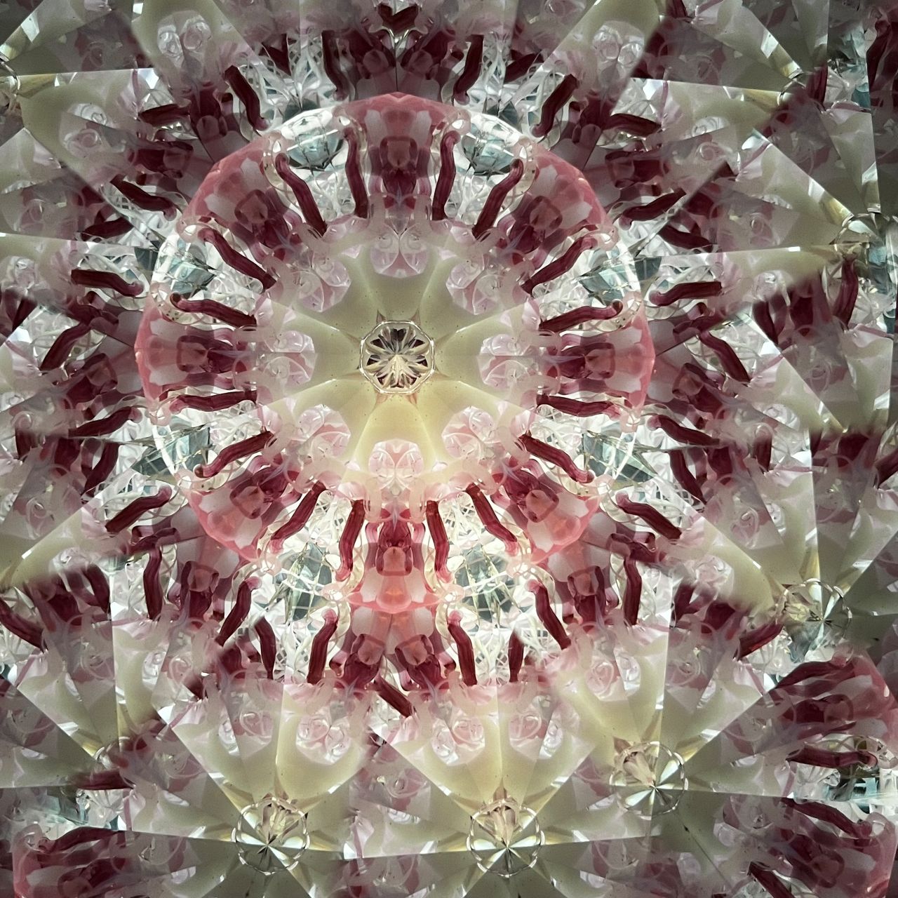 Ayana Endo  "Innocent Flowers  -The Beckoning Canopy-"            -glass kaleidoscope-