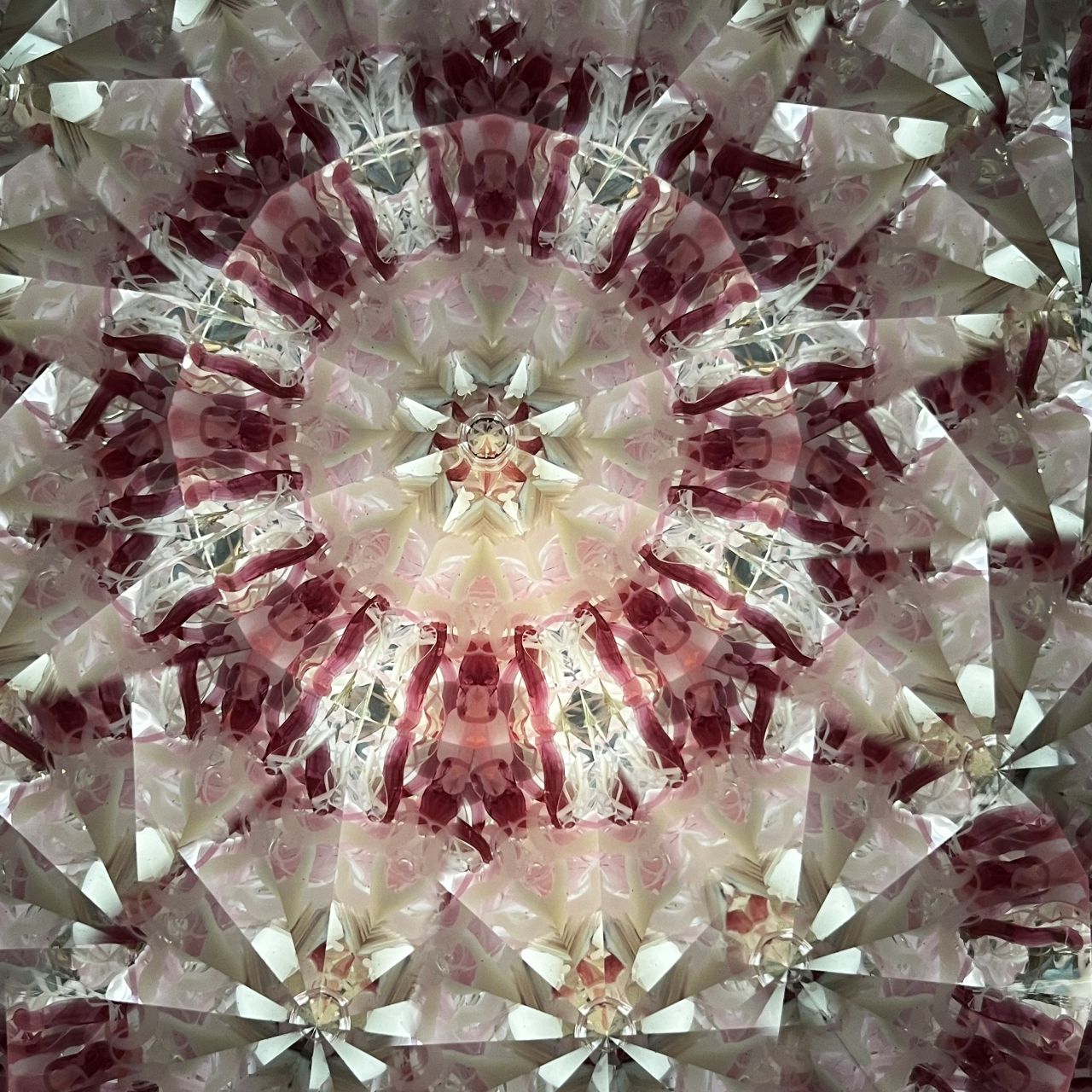 Ayana Endo  "Innocent Flowers  -The Beckoning Canopy-"            -glass kaleidoscope-