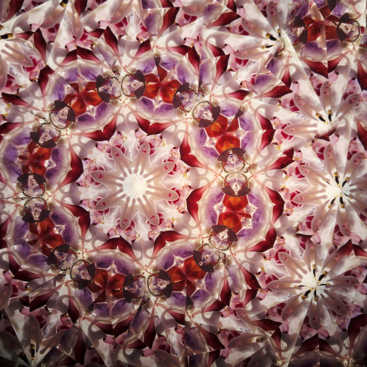 Ayana Endo  "Innocent Flowers  -The Beckoning Canopy-"            -glass kaleidoscope-