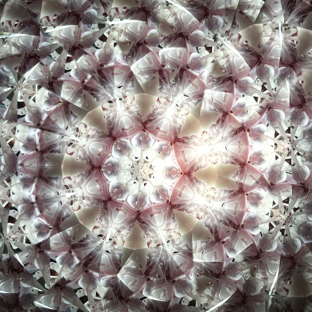 Ayana Endo  "Innocent Flowers  -The Beckoning Canopy-"            -glass kaleidoscope-