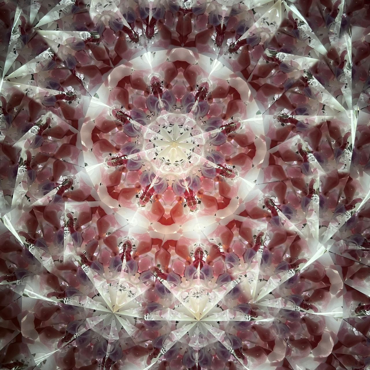 Ayana Endo  "Innocent Flowers  -The Beckoning Canopy-"            -glass kaleidoscope-