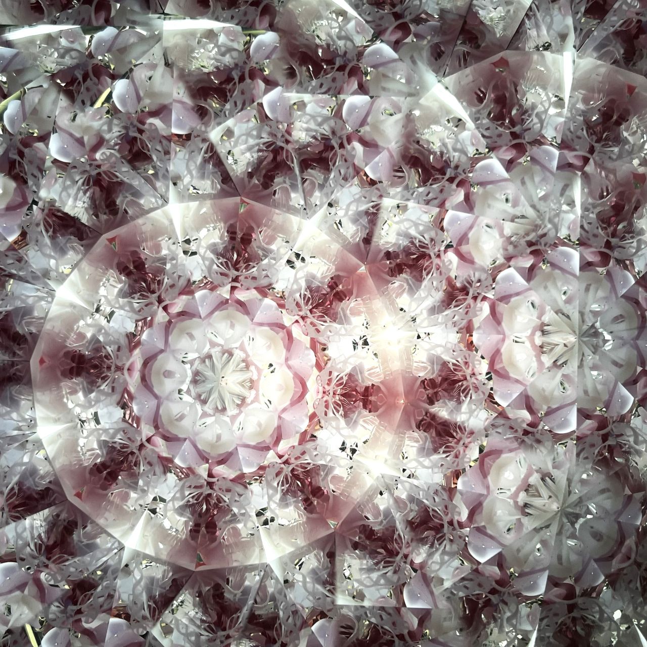 Ayana Endo  "Innocent Flowers  -The Beckoning Canopy-"            -glass kaleidoscope-