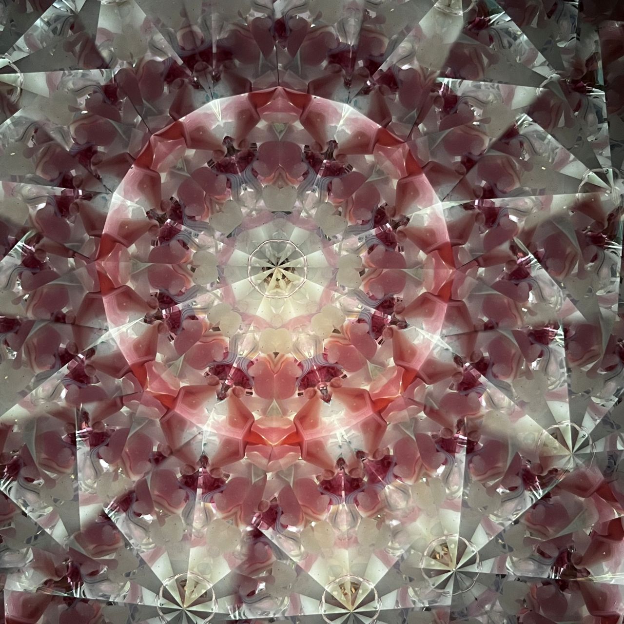 Ayana Endo  "Innocent Flowers  -The Beckoning Canopy-"            -glass kaleidoscope-