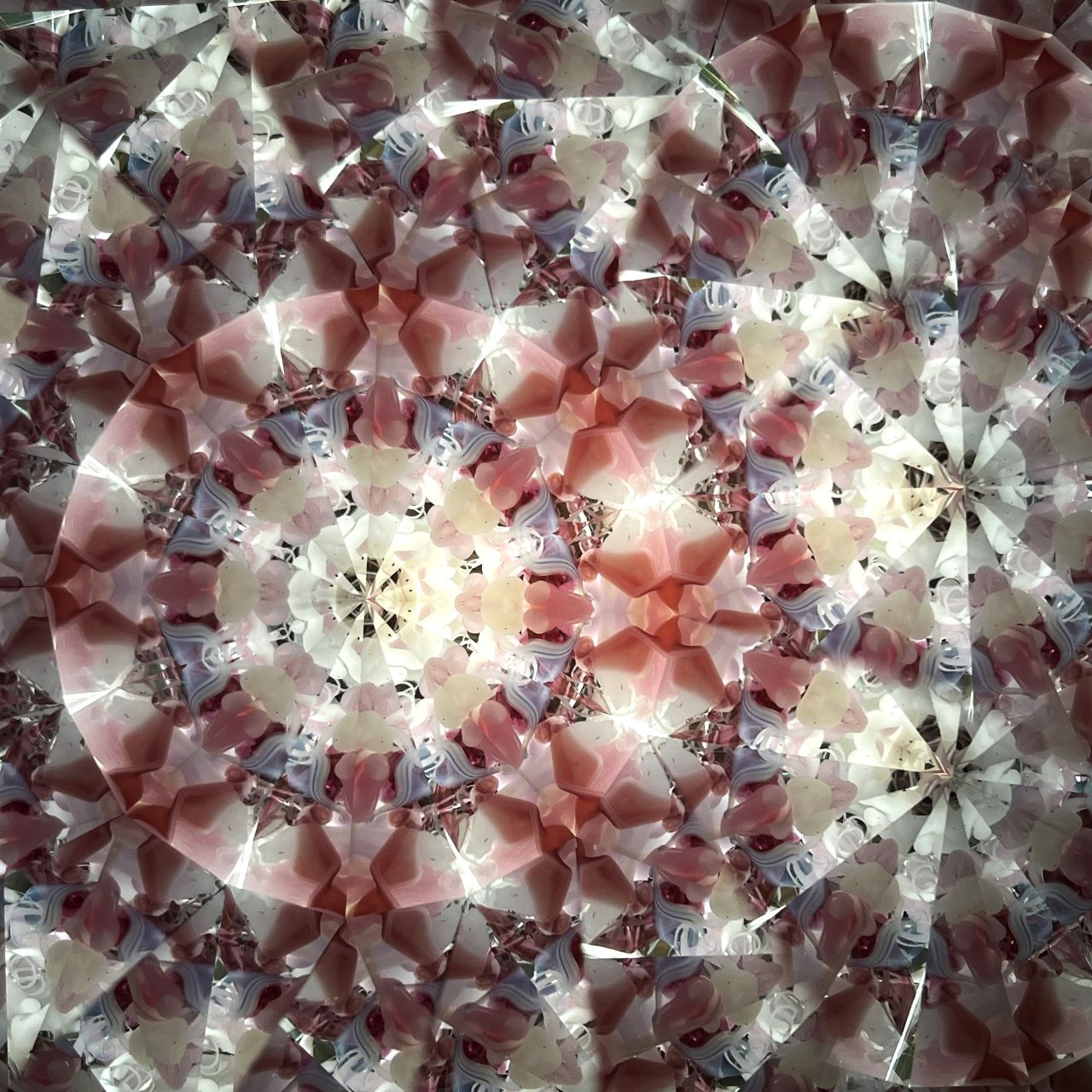 Ayana Endo  "Innocent Flowers  -The Beckoning Canopy-"            -glass kaleidoscope-