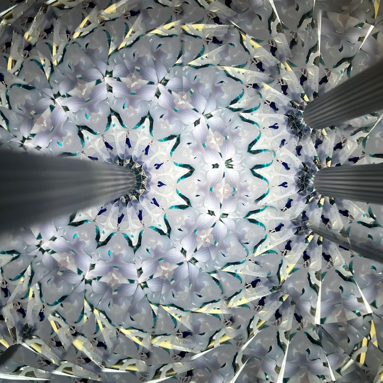 Ayana Endo  "Innocent Flowers  -Nocturne-"            -glass kaleidoscope-