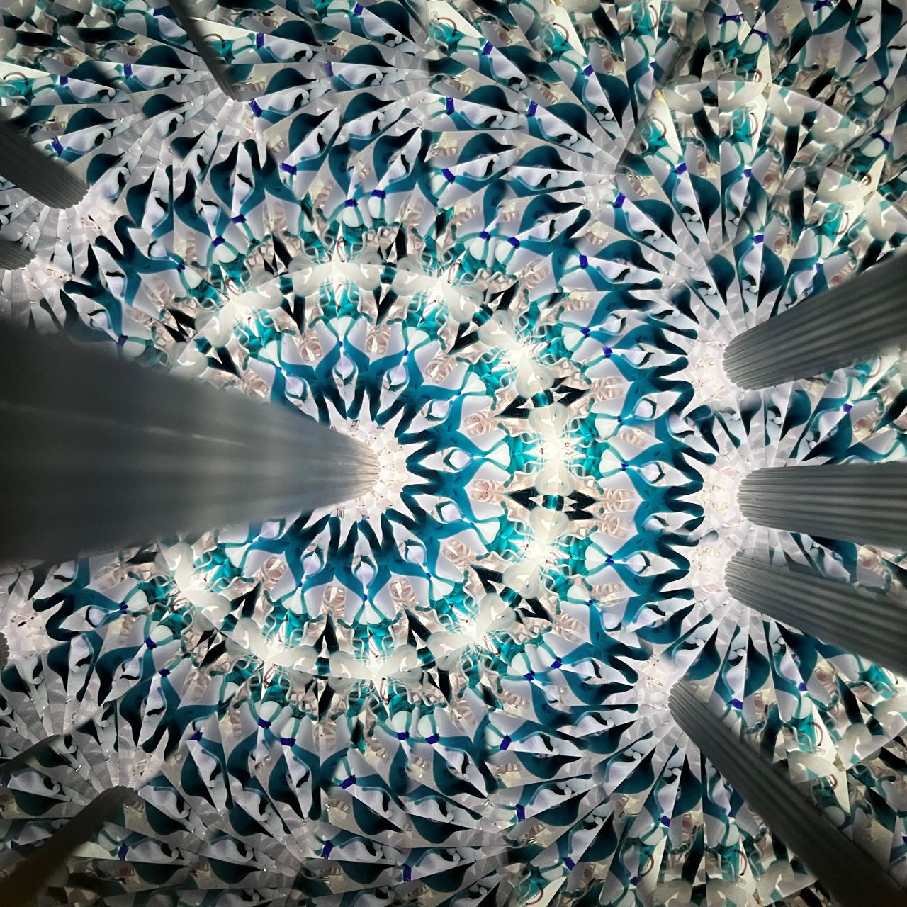 Ayana Endo  "Innocent Flowers  -Nocturne-"            -glass kaleidoscope-