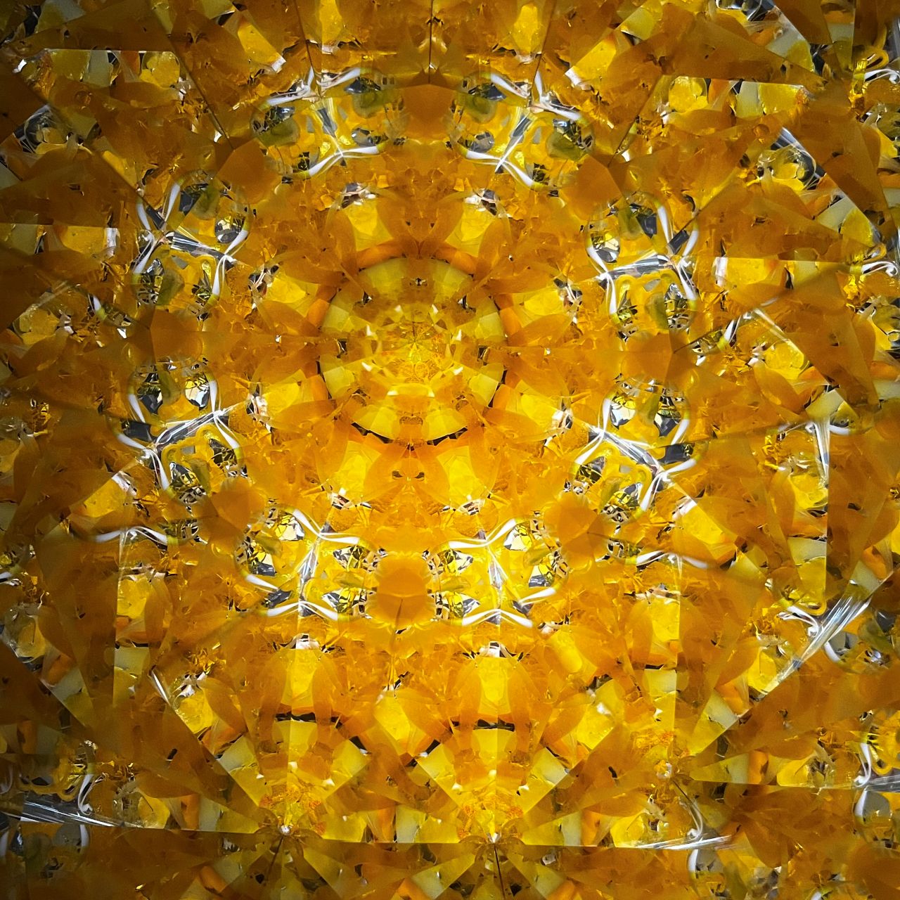Ayana Endo  "Innocent Flowers  -Tender Little Dancers-"            -glass kaleidoscope-