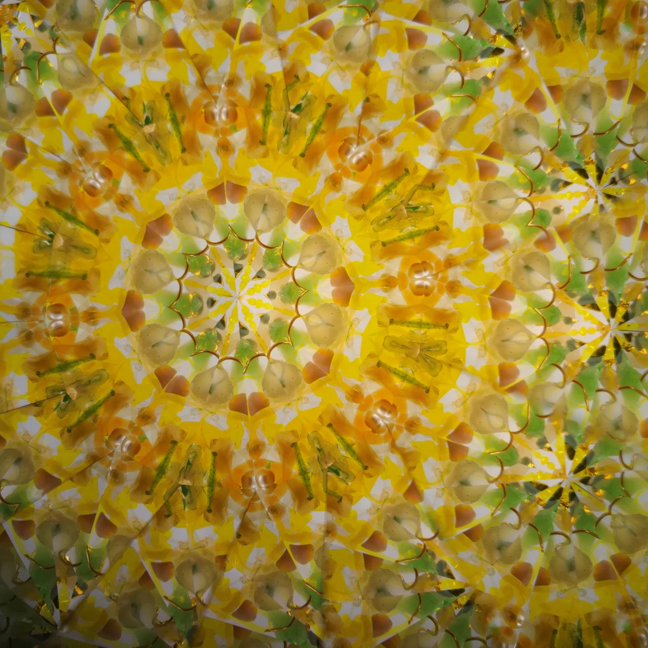 Ayana Endo  "Innocent Flowers  -Tender Little Dancers-"            -glass kaleidoscope-