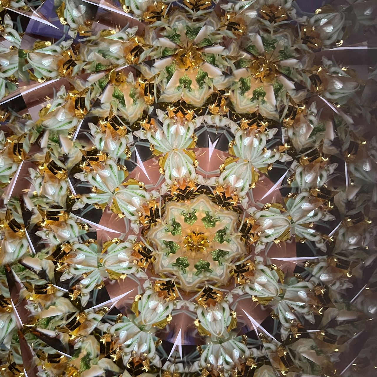 Ayana Endo  "Innocent Flowers  -Tender Little Dancers-"            -glass kaleidoscope-